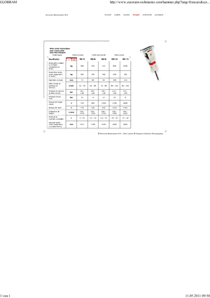 Martillos hidráulicos Globram RM 115