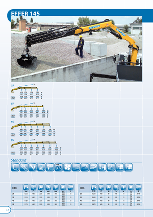 Grúas de carga hidráulicas Effer 145.11 2S