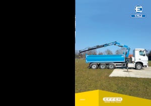 Grúas de carga hidráulicas Effer 175.2 C4S