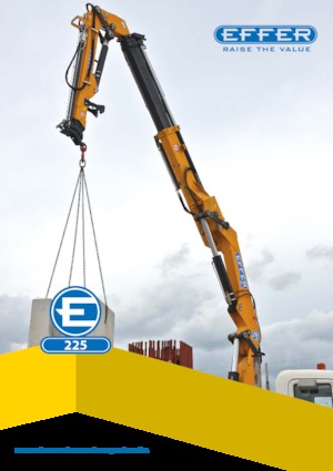 Grúas de carga hidráulicas Effer 225 6S