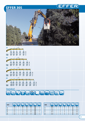 Grúas de carga hidráulicas Effer 305.11 3S