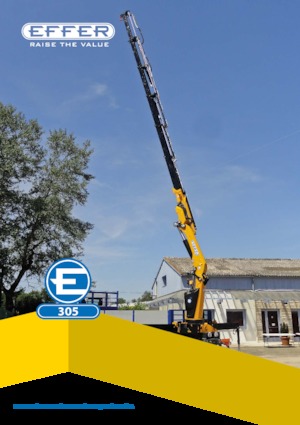Grúas de carga hidráulicas Effer 305 5S