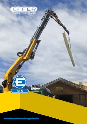 Grúas de carga hidráulicas Effer 315 6S