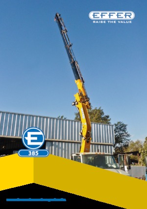Grúas de carga hidráulicas Effer 385 6S
