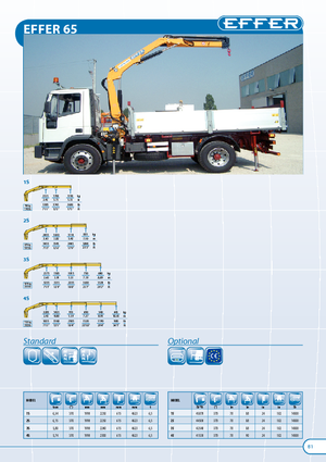 Grúas de carga hidráulicas Effer 65 2S