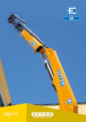 Grúas de carga hidráulicas Effer 65 4S