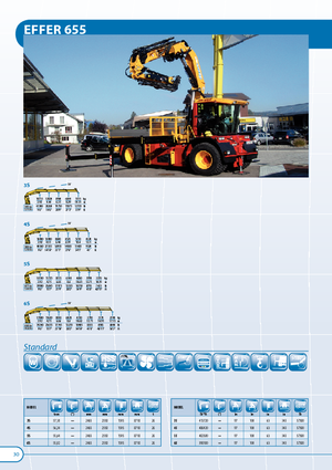 Grúas de carga hidráulicas Effer 655 3S