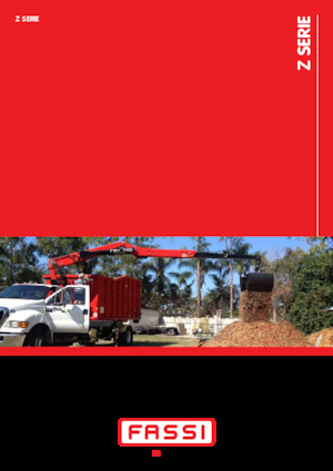 Grúas de carga hidráulicas Fassi F 215 AZ e-dynamic