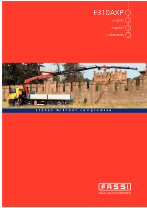 Grúas de carga hidráulicas Fassi F 310 AXP 22