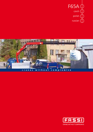 Grúas de carga hidráulicas Fassi F 65 A 21