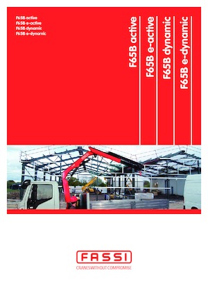 Grúas de carga hidráulicas Fassi F 65 B 0.24 active