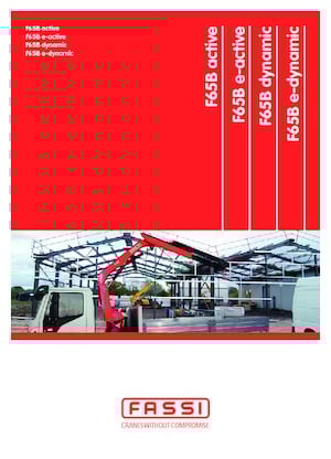 Grúas de carga hidráulicas Fassi F 65 B 1.24 dynamic