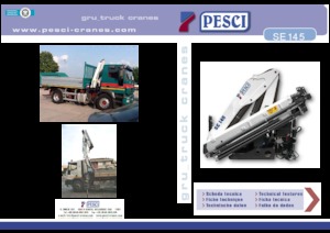 Grúas de carga hidráulicas Pesci SE 145