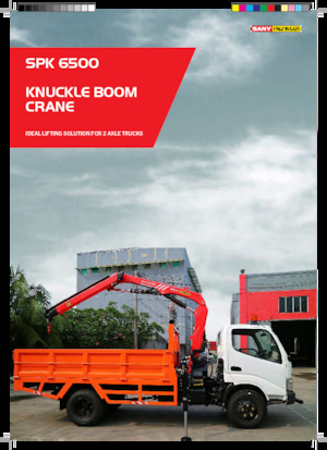 Grúas de carga hidráulicas Sany SPK 6500 A