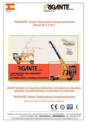 Grúas móviles industriales Rigante GR 50