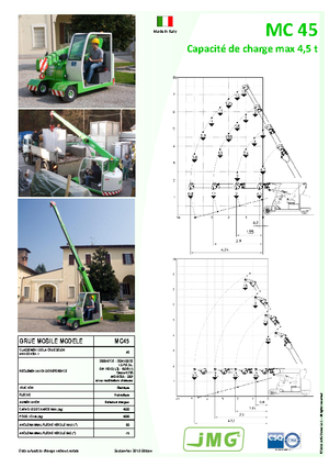Grúas móviles industriales JMG MC 45