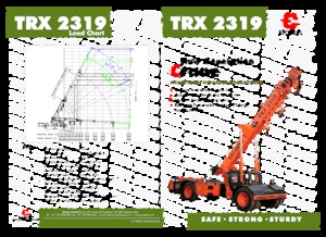 Grúas móviles industriales Escorts TRX 2319