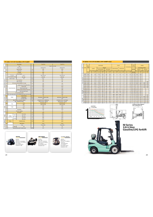 Carretillas elevadoras de gas Maximal FGL 30 T-M2WA3