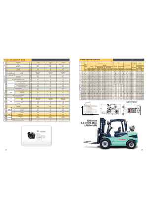 Carretillas elevadoras de gas Maximal FL 50 T-M1WE3