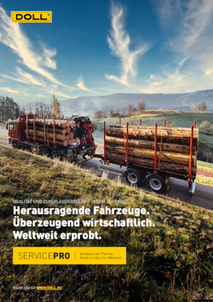 remolque lowbed Doll LOGO 14