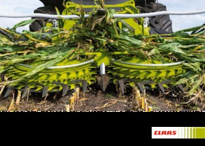 Cosechadoras – cabezales de maíz Claas Orbis 900