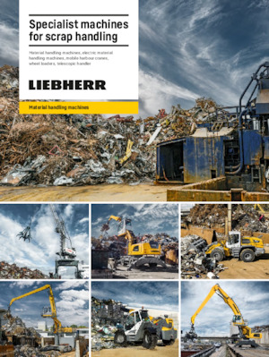 Manipuladores de materiales Liebherr LH 26 P Industry Litronic