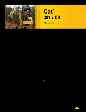 Miniexcavadoras Caterpillar 301.7 CR