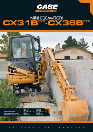 Miniexcavadoras Case CX 31 B ZTS