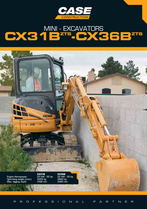 Miniexcavadoras Case CX 31 B ZTS