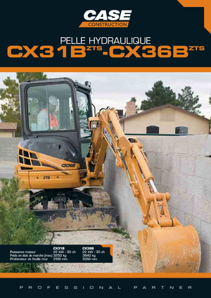 Miniexcavadoras Case CX 31 B ZTS
