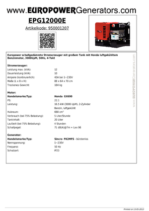 Grupos electrógenos, gasolina Europower EPG12000E (S)