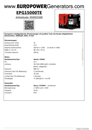 Grupos electrógenos, gasolina Europower EPG15000TE (S)