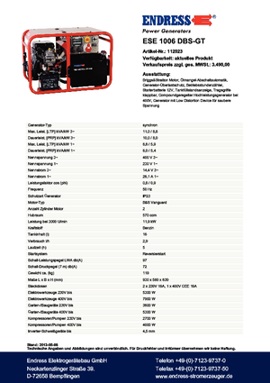 Grupos electrógenos, gasolina Endress ESE 1006 DBS-GT