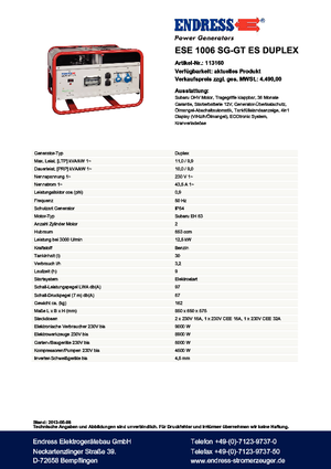 Grupos electrógenos, gasolina Endress ESE 1006 SG-GT ES Duplex