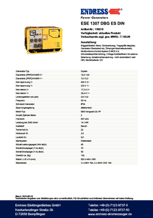 Grupos electrógenos, gasolina Endress ESE 1307 DBG ES DIN
