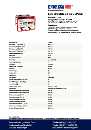 Grupos electrógenos, gasolina Endress ESE 606 DHG-GT ES Duplex