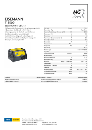 Grupos electrógenos, gasolina Eisemann T 2500