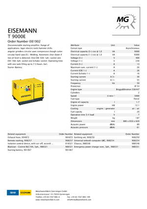 Grupos electrógenos, gasolina Eisemann T 9000 E