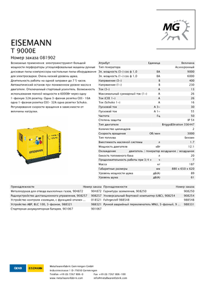 Grupos electrógenos, gasolina Eisemann T 9000 E