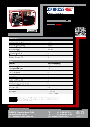 Grupos electrógenos, gasolina Endress ESE 1006 DBS GT
