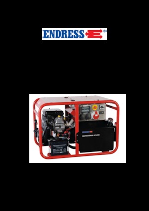 Grupos electrógenos, gasolina Endress ESE 1006 DBS-GT ES 