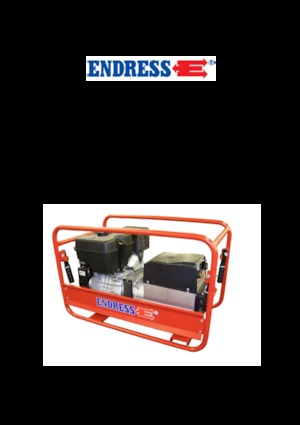 Grupos electrógenos, gasolina Endress ESE 1006 SDHS-DC ES / 30-300 A