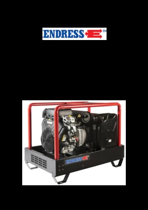 Grupos electrógenos, gasolina Endress ESE 2006 DBS-GT ES 