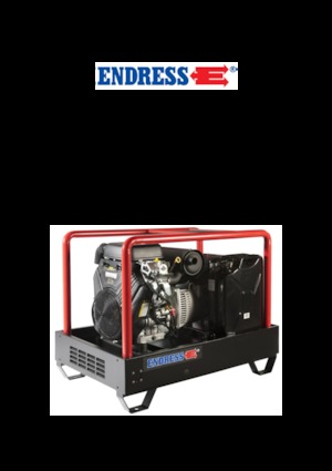 Grupos electrógenos, gasolina Endress ESE 2006 DBS-GT ES 