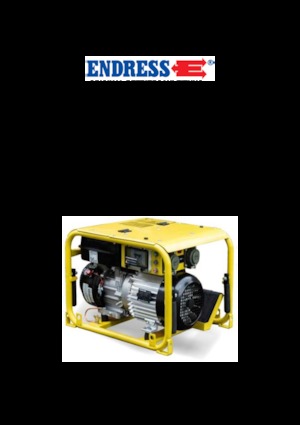 Grupos electrógenos, gasolina Endress ESE 304 HG DIN