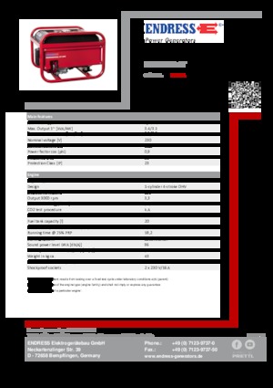 Grupos electrógenos, gasolina Endress ESE 306 HS GT