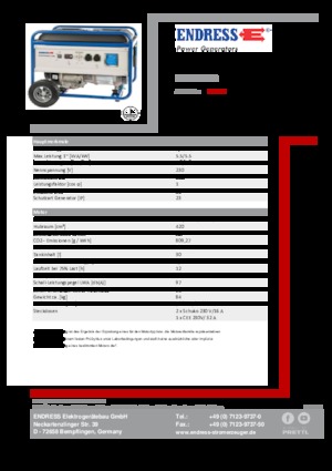 Grupos electrógenos, gasolina Endress ESE 6000 BS