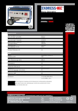 Grupos electrógenos, gasolina Endress ESE 6000 DBS