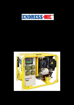 Grupos electrógenos, gasolina Endress ESE 604 DHG DIN