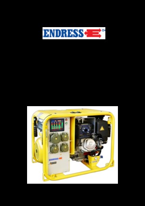 Grupos electrógenos, gasolina Endress ESE 604 DHG DIN